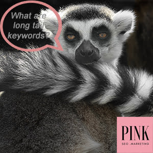 What are long tail keywords and why do they convert more?