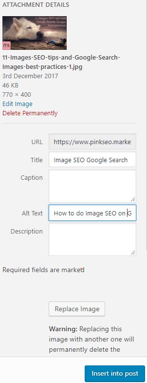 on-page SEO checklist: image alt text SEO